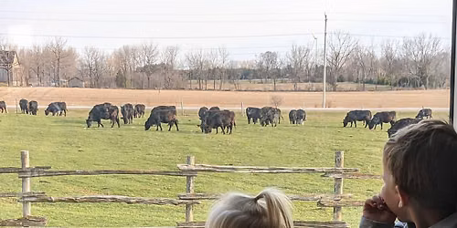 Cedar Villa Farms Fall Open House