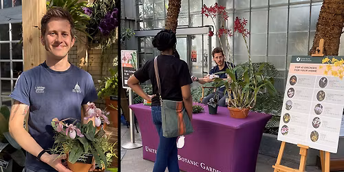 Expert Is In: Orchid Care (On-site Drop-in Program)