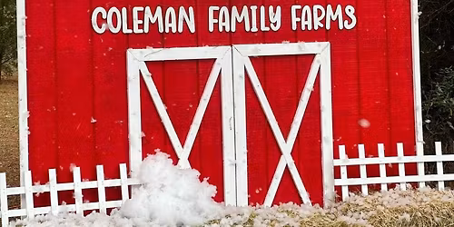 Opening Day for the 2025 Christmas Tree Season