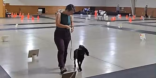 AKC Obedience and Rally Trial