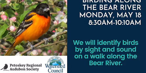 Birding Along the Bear River Session 2