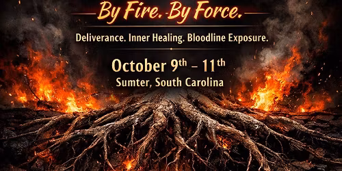 Getting to The Root of Things\ud83d\udd25!\ufe0f