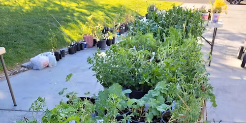 Annual Garden Club Plant and GBC Ceramics Sale