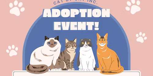 Cat by Cat Inc. Adoption Event at Lock City Books