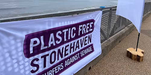 June Beach Clean with Plastic Free Stonehaven & Paws on Plastic