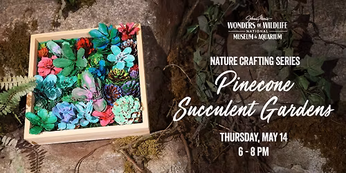 Craft Your Own Pinecone Succulent Garden