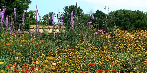 Make Your Yard Florida Friendly with Mark Tancig