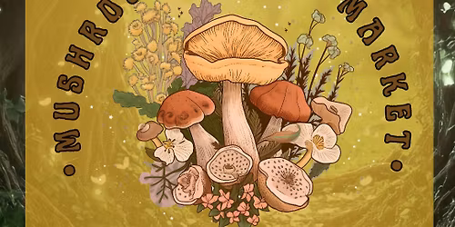 The Mushroom Magic Market
