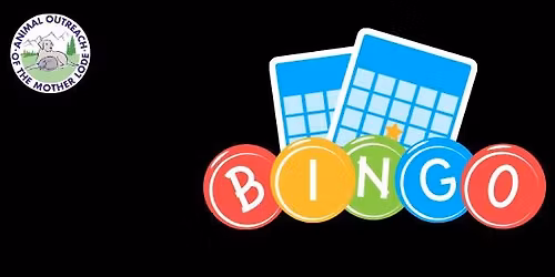 Bingo Fundraiser