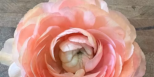 Ranuncu-Love \u2764\ufe0f -  Flower Arranging Workshop