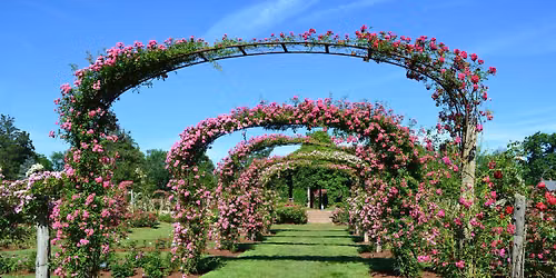 Rose Garden Tour