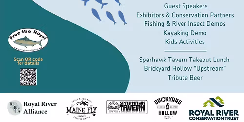 World Fish Migration Festival