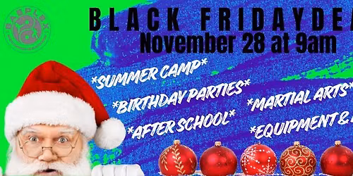 BAEPLEX Black Friday SALE