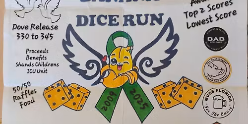 Support The Savannah Banana Dice Run