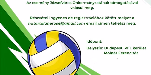 \u00dcL\u0150R\u00d6PLABDA J\u00d3ZSEFV\u00c1ROSBAN