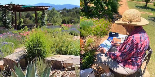 Art Class: Springtime Nature Sketching at the Santa Fe Botanical Garden