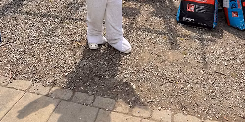 Easter Bunny\/ Egg Hunt