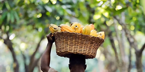 Perut\u00f3l Madagaszk\u00e1rig - \u00edzutaz\u00e1s a F\u00f6ld k\u00f6r\u00fcl