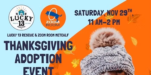 Zoom Room with Lucky 13 Rescue