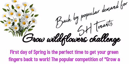 Grow a plant Challenge