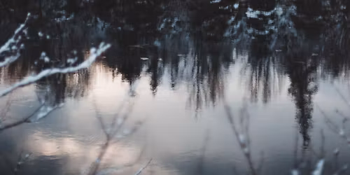 Winter Nature & Woodland