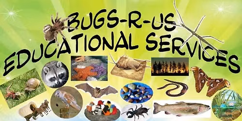 Discover Dinosaurs with John Jackson of Bugs R Us, 6+ YRS (Talent Library)