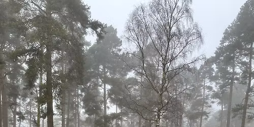 Annual Boxing Day Run - Dirty Dozen Course Pre Run (Social)