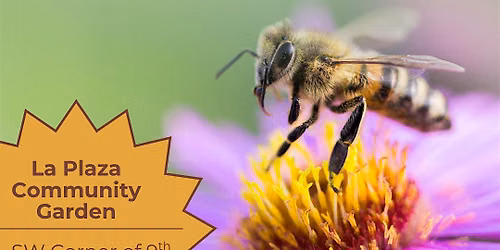 NATURAL BEE WORKSHOP