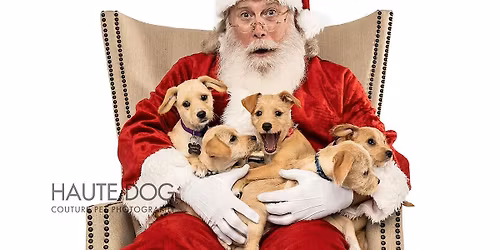 Santa Photos & Snow Play at Uptown Pup Dallas