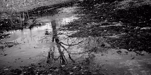 DE NATUUR IN ROUW - Een verstilde wandeling over verlies en veerkracht