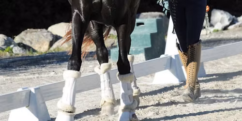 Advanced Long Lining Workshop- LIVE STREAM \ud83c\udfa5