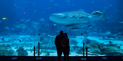 Tuesdays in the Field November