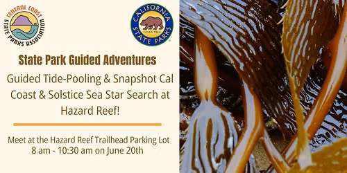 Guided Tide-Pooling & Snapshot Cal Coast & Solstice Sea Star Search at Hazard Reef!