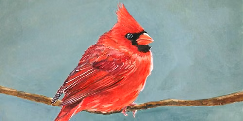 Adult Cardinal Mini Paintings