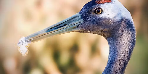 Wildlife Photography Workshop