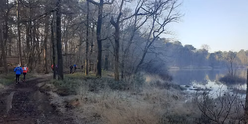 Rondje Oisterwijkse Bossen en Vennen (18 km)