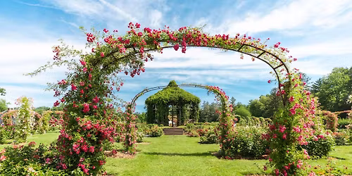 Parking Annie - Woodstock