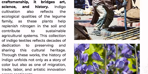 Deep Blue: The Global Glimpse of Indigo