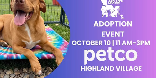 Petco Adoption Event
