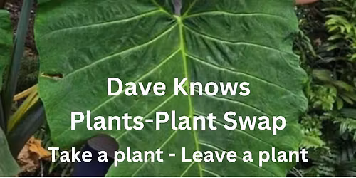 Dave Knows Plants-Plant Swap