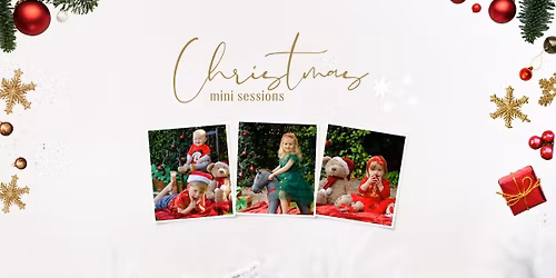 Little Rosebud's Fundraising Christmas Minis Sessions