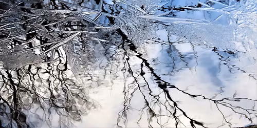 Winter Solstice Walk at the Sterling Nature Center, Sunday December 21 at 10am 