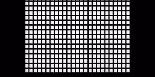 800