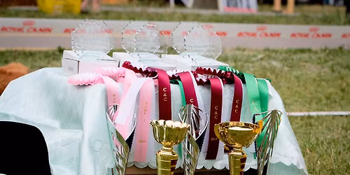 IHF HOVAWART KLUBKI\u00c1LL\u00cdT\u00c1S