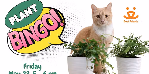 Plant Bingo
