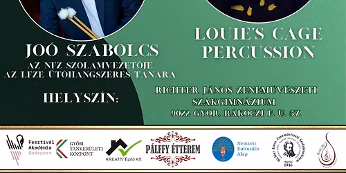 IV. Gy\u0151ri \u00dct\u0151hangszeres Szakmai Napok 