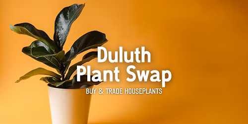 Duluth Plant Swap