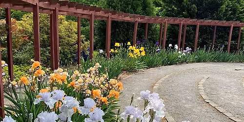 UT Retirees: An Evening in the UT Gardens