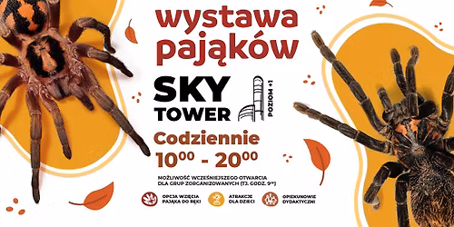 \ud83d\udd77\ufe0f Wystawa Paj\u0105k\u00f3w we Wroc\u0142awiu! \ud83c\udfe2\ud83d\udd78\ufe0f CODZIENNIE od 10:00 do 20:00