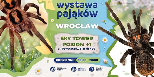 Wystawa Paj\u0105k\u00f3w we Wroc\u0142awiu \ud83d\udd77\ufe0f Sky Tower Wroc\u0142aw | CODZIENNIE od 10:00 do 20:00